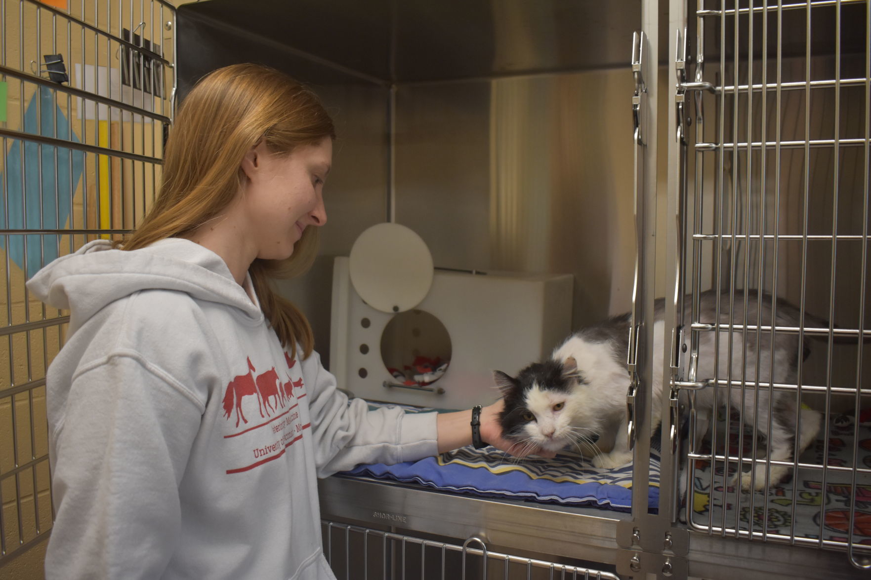 New WHS shelter